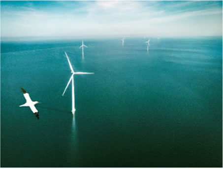オランダ洋上風力発電プロジェクトへの参画のイメージ