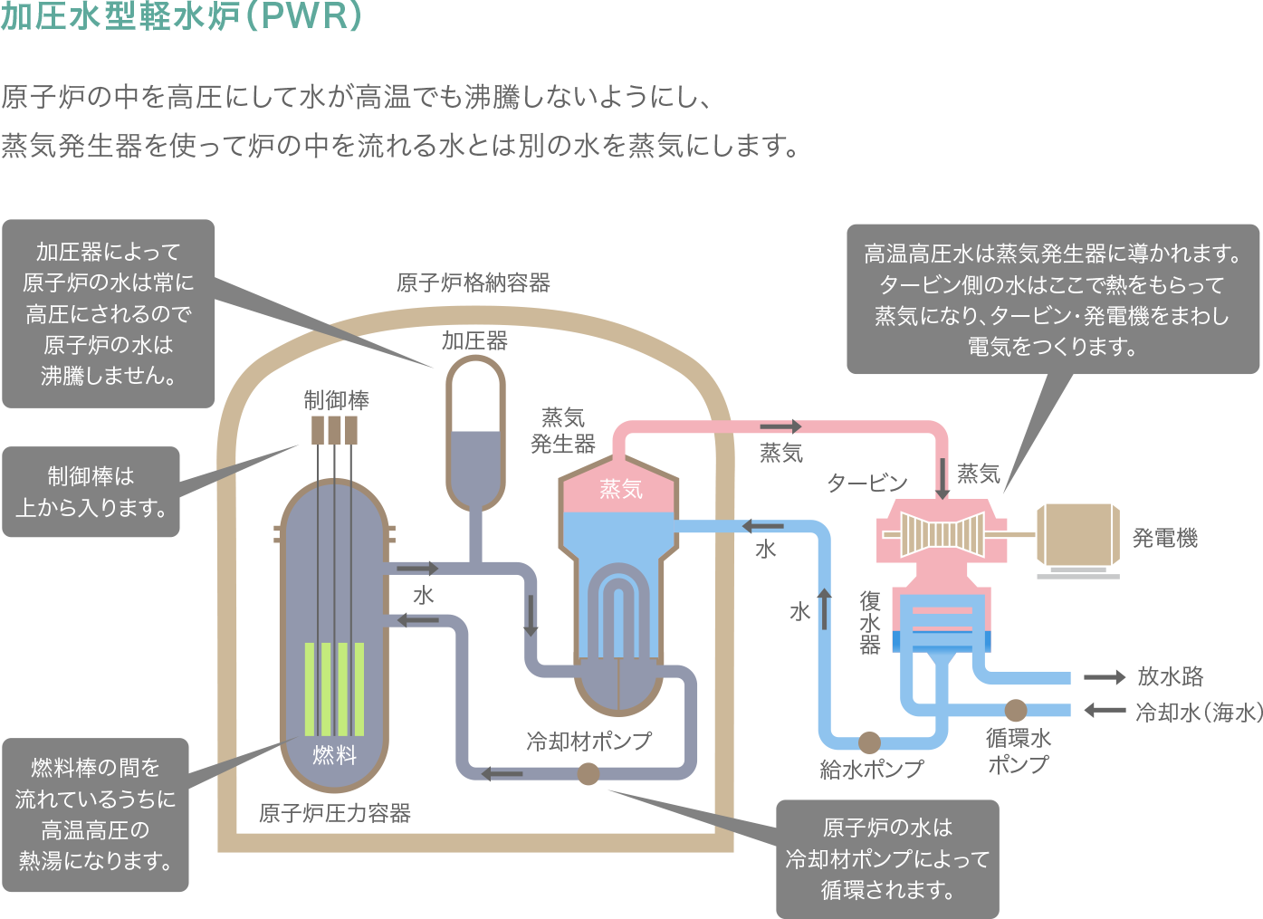 加圧水型軽水炉（PWR）の図