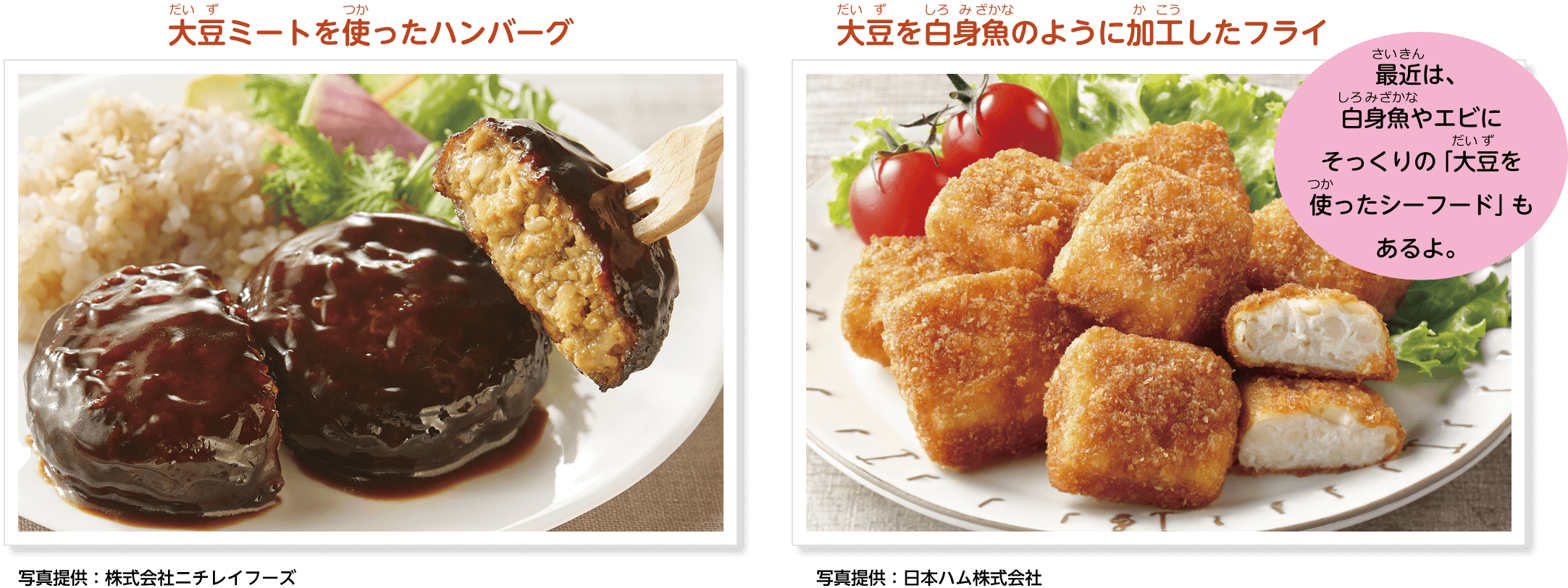 大豆ミートを使ったハンバーグの写真、大豆を白身魚のように加工したフライの写真