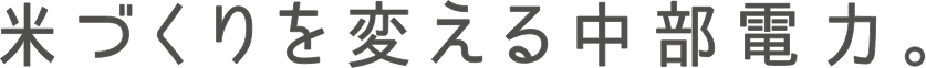 米づくりを変える中部電力