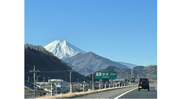 応募作品