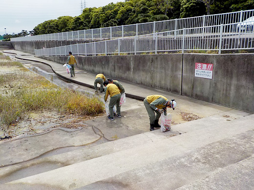 碧南市「碧南釣り広場」の清掃活動をしました