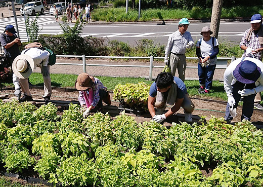 東山動植物園正門前で障がいのある皆さんとガーデンづくりを実施しました