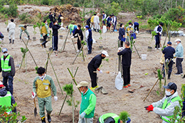 クロマツの苗木の植樹祭を実施しました。