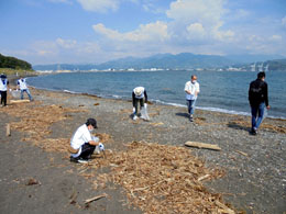 三保真崎海岸の清掃活動に参加しました
