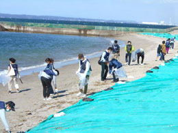 日間賀島「サンセットビーチ」周辺の清掃ボランティア活動を実施しました