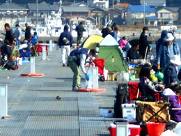 豊浜漁港「豊浜釣り桟橋」周辺の清掃ボランティア活動を実施しました