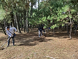 「三保松原　下草刈り」に参加しました