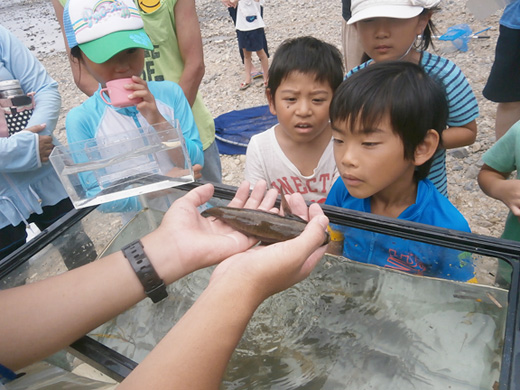 捕った魚を観察する子どもの様子1