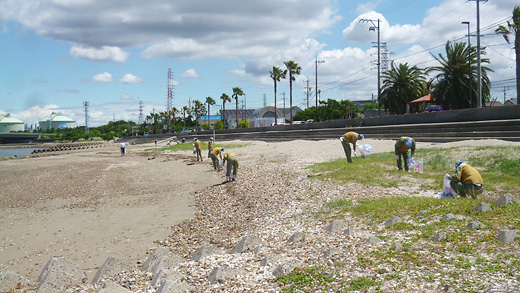 「新舞子海岸」の清掃活動の様子1