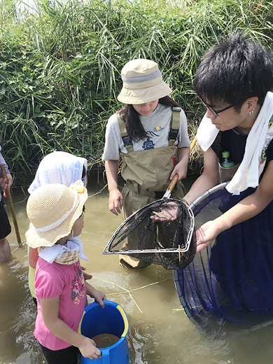 ボランティアの学生と一緒に魚を捕獲する様子