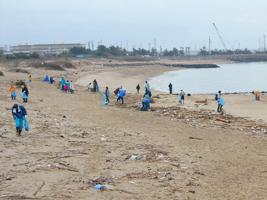 海岸清掃活動の様子