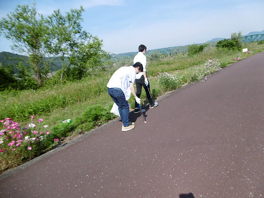 大井川河川敷の清掃活動の様子1