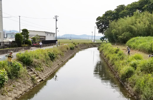 清掃活動の様子2