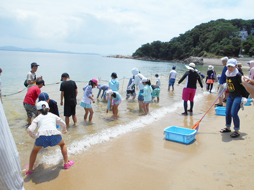 南知多町篠島「サンサンビーチ」海岸清掃と「立干網漁」体験をおこないましたイメージ