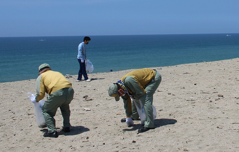 「浜岡砂丘の海岸清掃」の様子