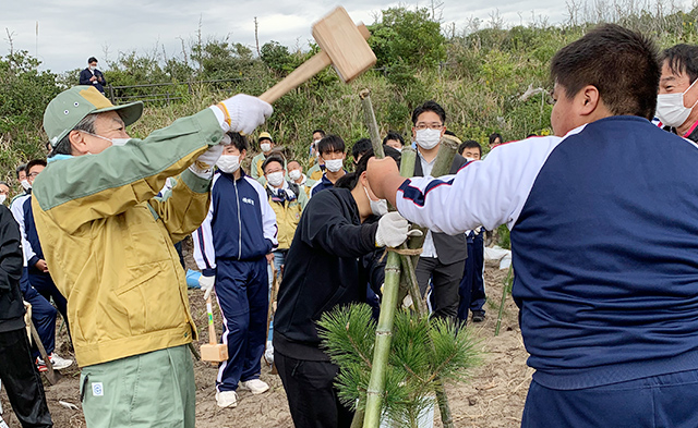 クロマツの苗木の植樹祭の様子2