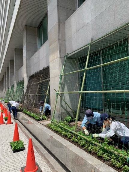 本店ビルでの植付けの様子