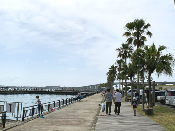 浜松市・湖西市「浜名湖岸」の清掃活動の様子