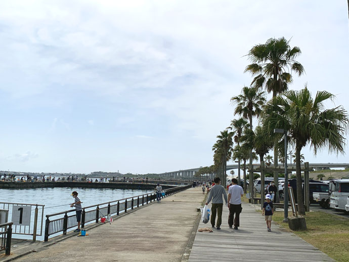 浜松市・湖西市「浜名湖岸」の清掃活動の様子