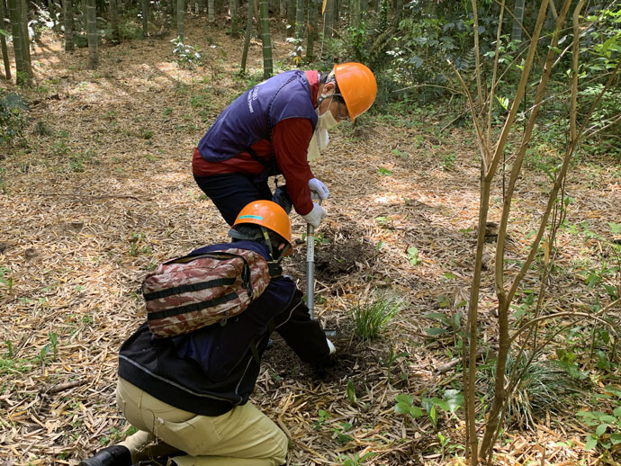 環境保全活動　生物多様性に寄与する竹林管理のお手伝い「タケノコ掘り」を実施の様子