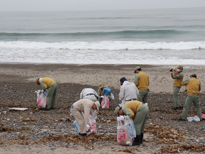 御前崎市「浜岡砂丘の海岸清掃」を実施の様子