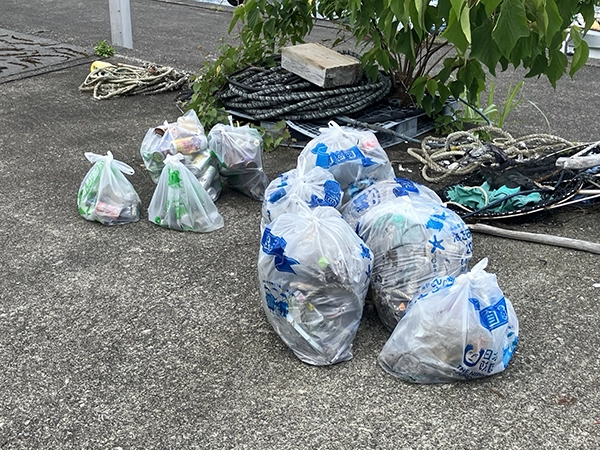 尾鷲市大曽根漁港岸壁の清掃活動写真