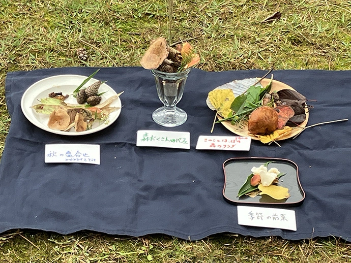 育成プログラムの作品