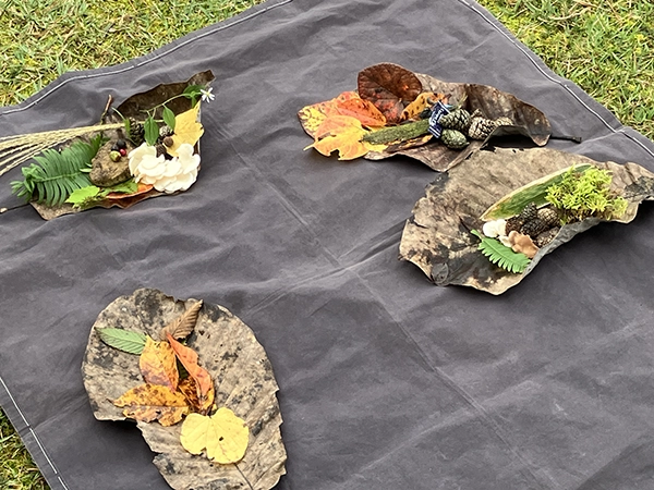 育成プログラム：お題「目で食べる」（棒葉の上に落葉や落実を盛り付け、タイトルをつけて発表）