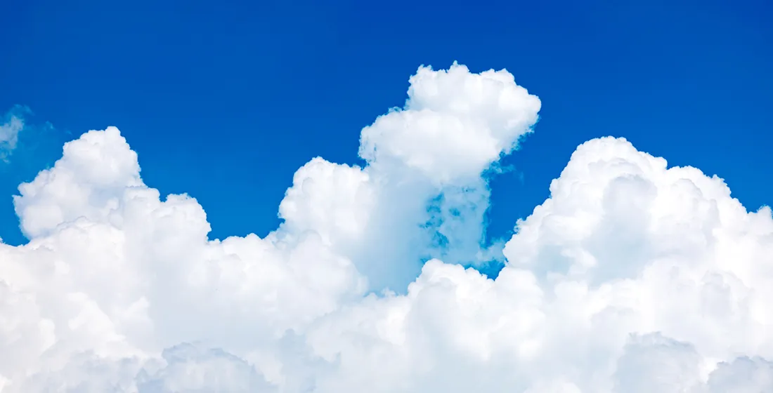 TCFD・TNFD提言に基づく情報開示