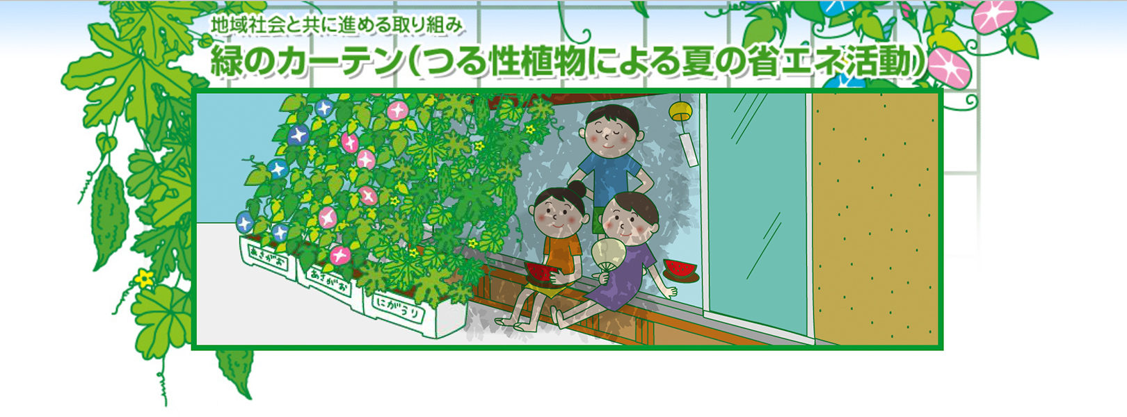 緑のカーテン（つる性植物による夏の省エネ活動）