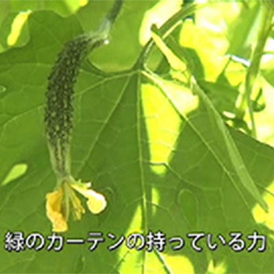 【4】環境教育へのひろがり