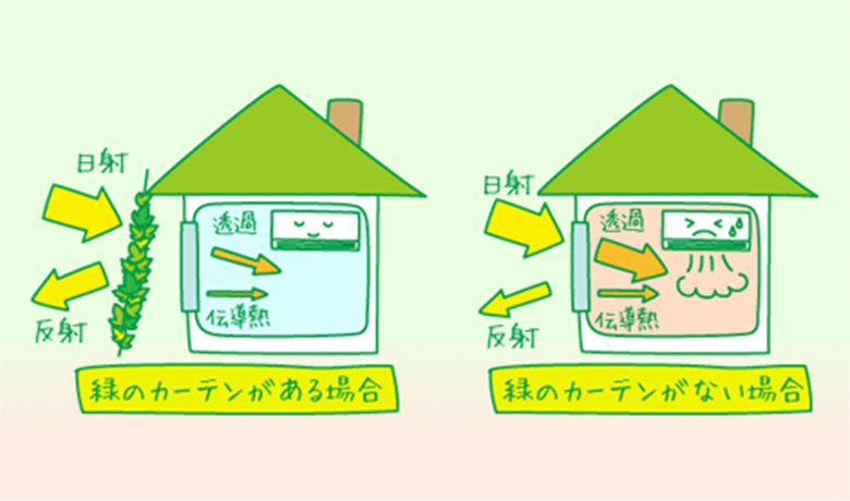 緑のカーテンがある部屋とない部屋の場合
