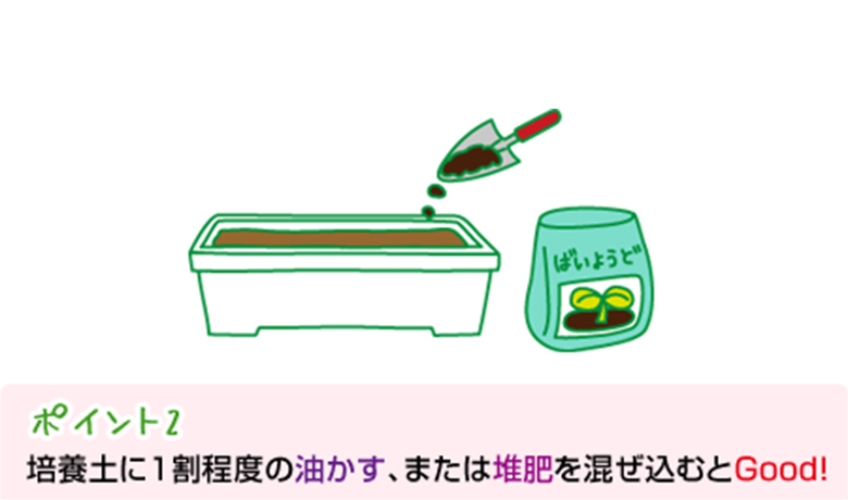 ポイント2:培養土に1割程度の油かす、または堆肥を混ぜ込むとGood!