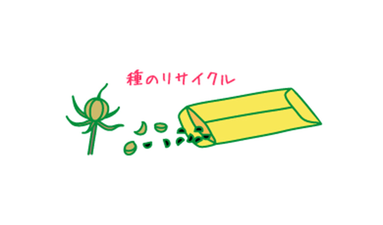 種のリサイクル