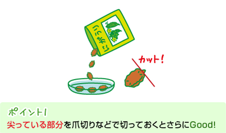 ポイント1：尖っている部分を爪切りなどで切っておくとさらにGood！