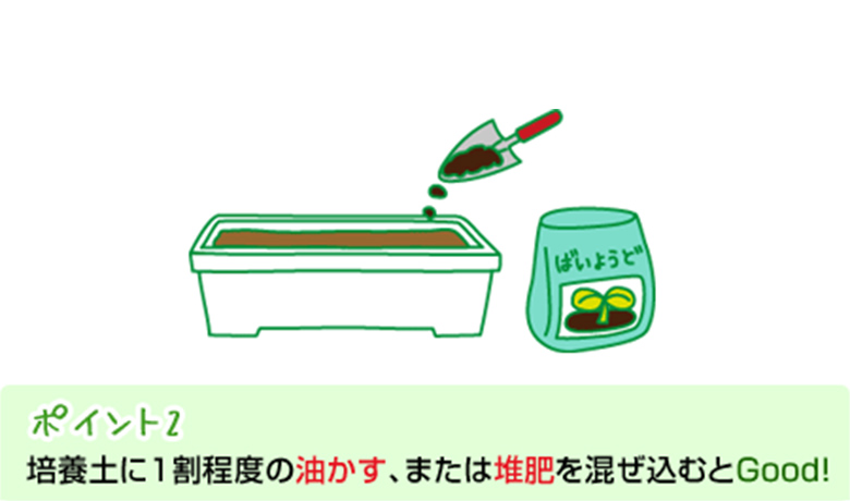 ポイント2：培養土に1割程度の油かす、または堆肥を混ぜ込むとGood！