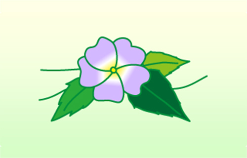 ツンベルギア