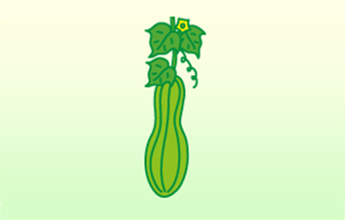 ヘチマ