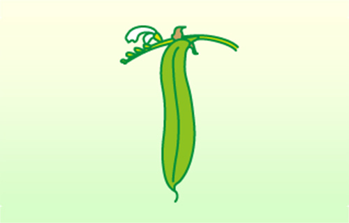 ナタマメ