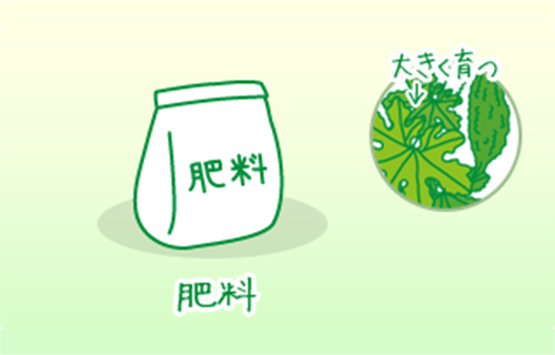肥料
