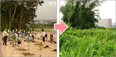 植樹の様子（2005年9月） 2008年9月の様子