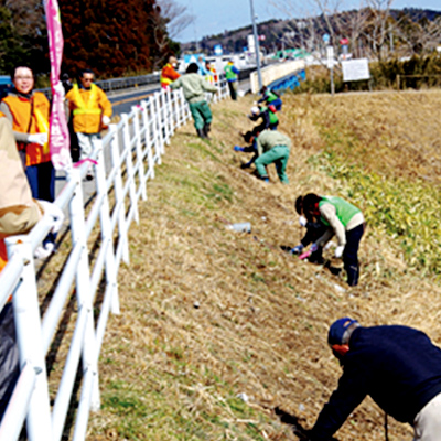 東北地方で植樹活動をおこなっている団体