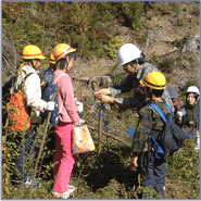 小学生と植樹