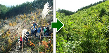 植樹の様子(2001年11月) 2008年9月の様子