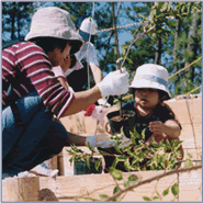植樹の様子