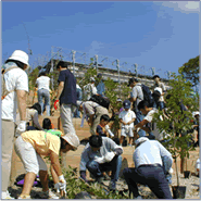 植樹の様子