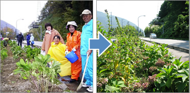 植樹の様子(2004年10月) 2008年9月の様子