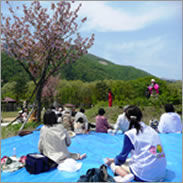 桜と新緑の中で和気あいあいと食事