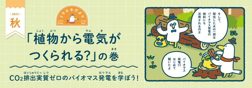 ミラエネだより　2025年秋号